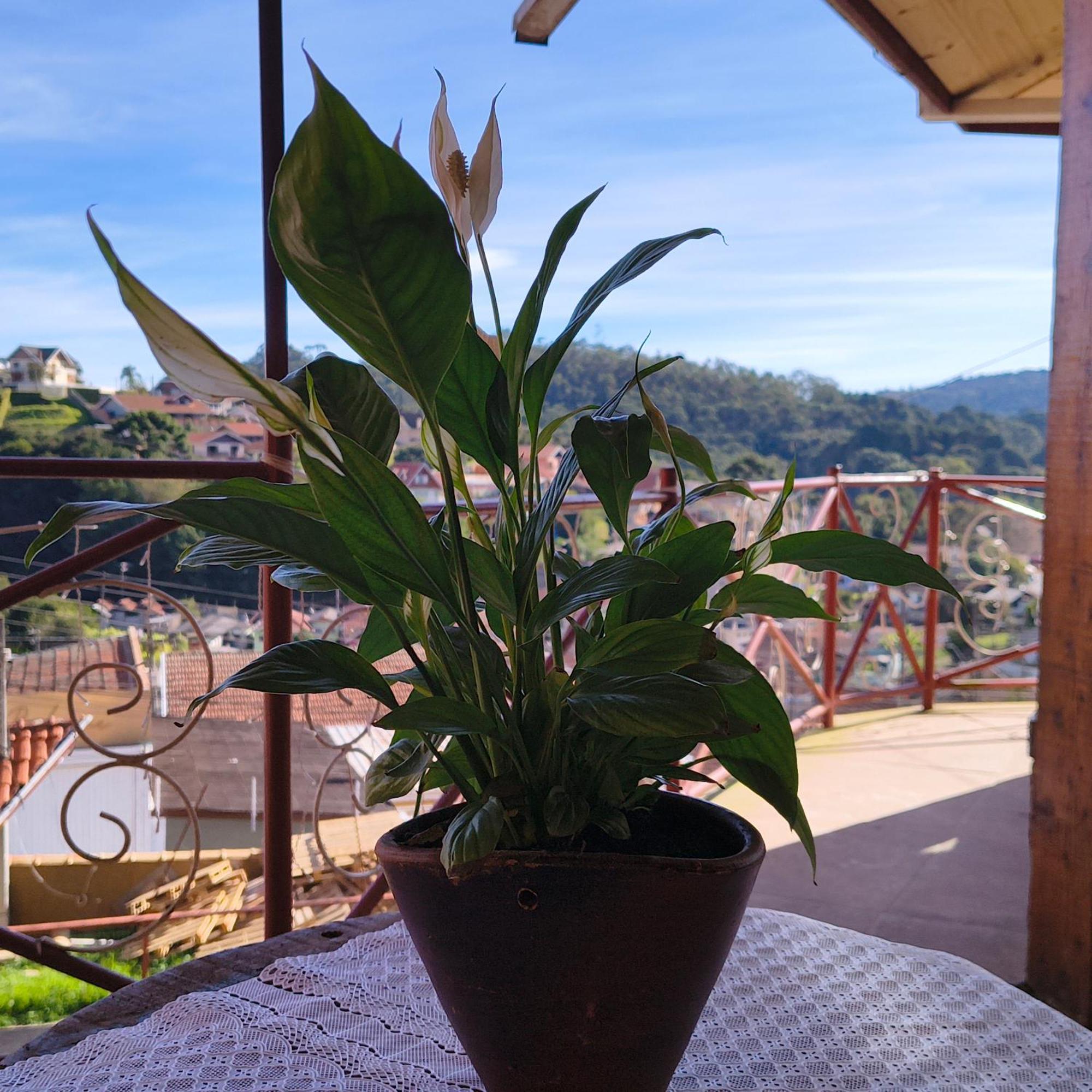 Suite Rustica Aconchego - Com Banheira De Hidromassagem Campos do Jordão Exterior foto